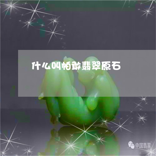 什么叫帕敢翡翠原石/2023042564714