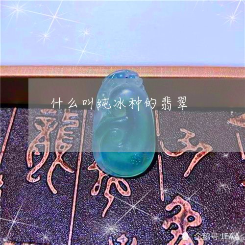 什么叫纯冰种的翡翠/2023042525158 什么叫纯冰种的翡翠/2023042525158