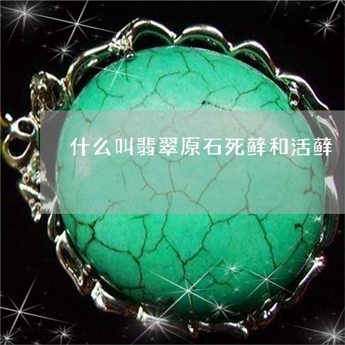 什么叫翡翠原石死藓和活藓/2023061945938 什么叫翡翠原石死藓和活藓/2023061945938