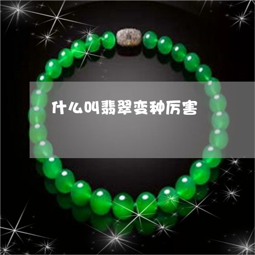 什么叫翡翠变种厉害/2023042591715