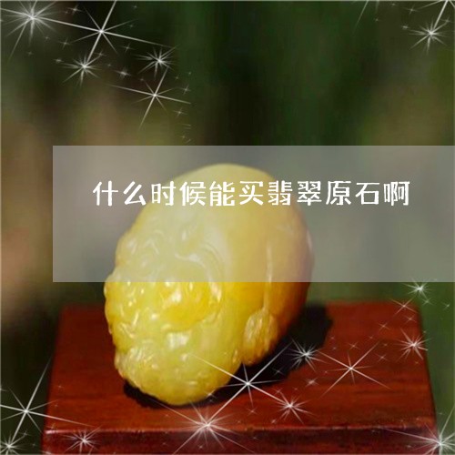 什么时候能买翡翠原石啊/2023061920816