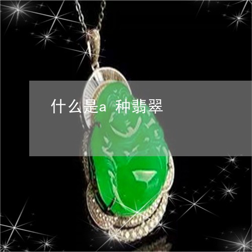 什么是a种翡翠/2023040562615 什么是a种翡翠/2023040562615