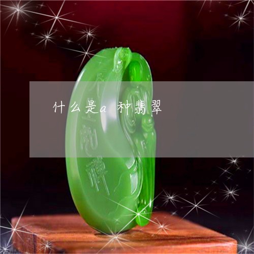 什么是a种翡翠/2023040563958 什么是a种翡翠/2023040563958