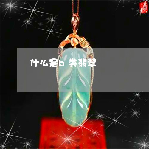 什么是b类翡翠/2023040595958 什么是b类翡翠/2023040595958