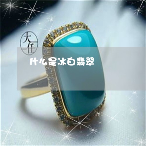 什么是冰白翡翠/2023040538279 什么是冰白翡翠/2023040538279