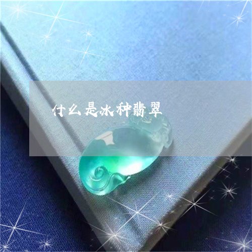 什么是冰种翡翠/2023040551693