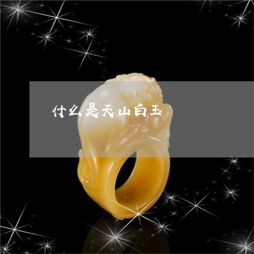 什么是天山白玉/2023040553736