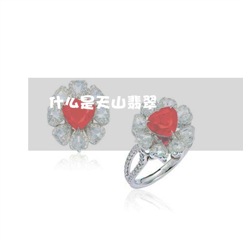 什么是天山翡翠/2023040538368
