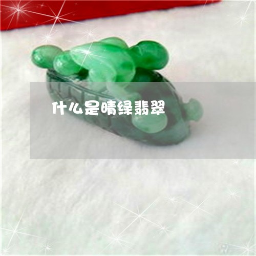 什么是晴绿翡翠/2023040517139 什么是晴绿翡翠/2023040517139