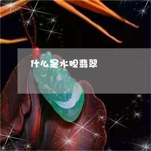 什么是水胆翡翠/2023040563837 什么是水胆翡翠/2023040563837