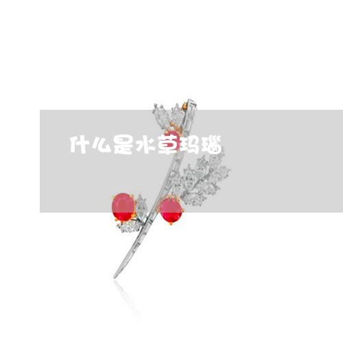 什么是水草玛瑙/2023040553413 什么是水草玛瑙/2023040553413