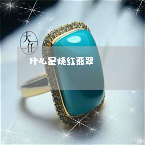 什么是烧红翡翠/2023040569592