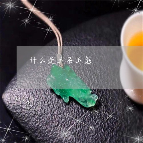 什么是玉石玉筋/2023040574703
