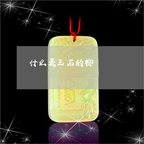 什么是玉石的柳/2023040559484 什么是玉石的柳/2023040559484