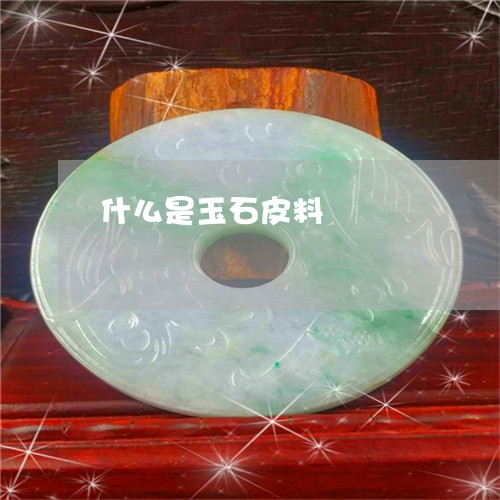 什么是玉石皮料/2023040572594 什么是玉石皮料/2023040572594