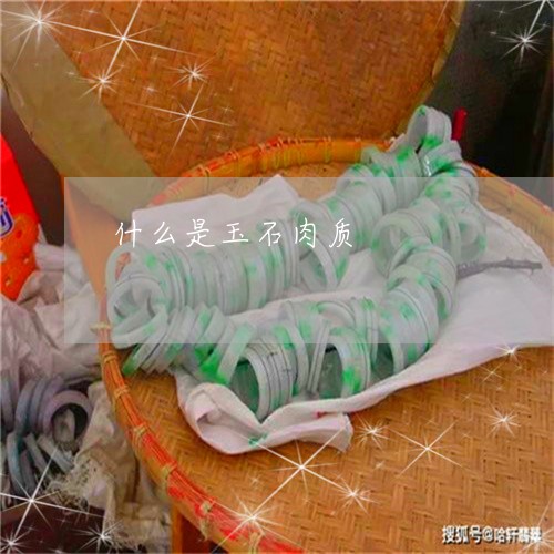 什么是玉石肉质/2023040558281 什么是玉石肉质/2023040558281