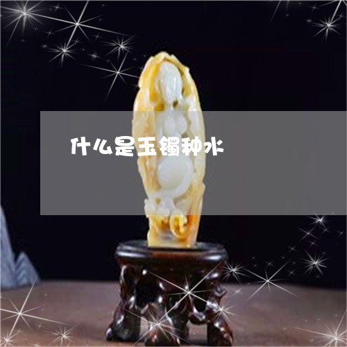 什么是玉镯种水/2023040526937 什么是玉镯种水/2023040526937