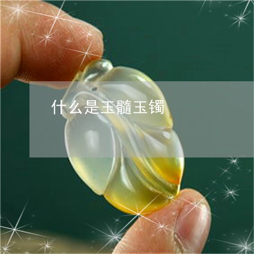 什么是玉髓玉镯/2023040575847 什么是玉髓玉镯/2023040575847