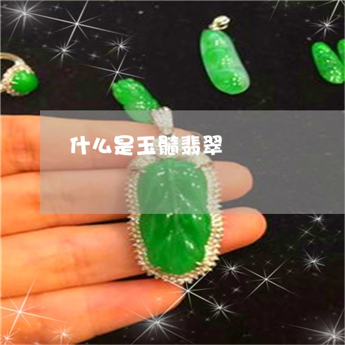 什么是玉髓翡翠/2023040507137 什么是玉髓翡翠/2023040507137