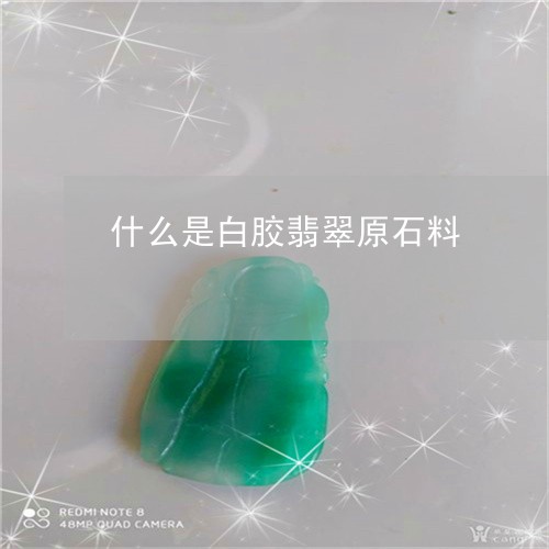 什么是白胶翡翠原石料/2023061773026