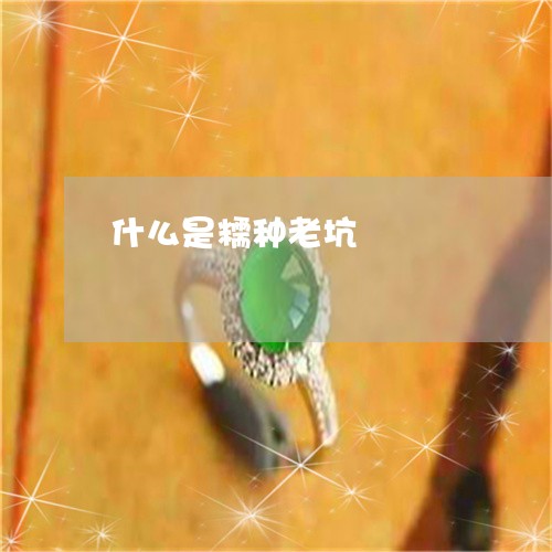 什么是糯种老坑/2023040576937