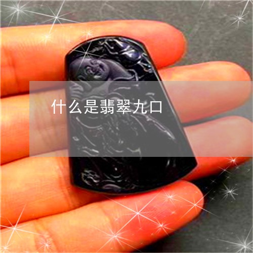 什么是翡翠九口/2023040505035 什么是翡翠九口/2023040505035