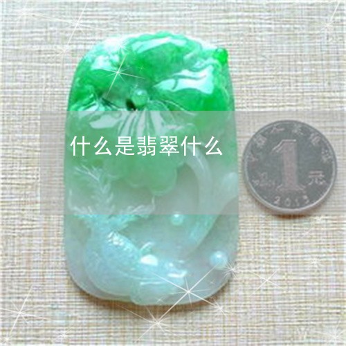 什么是翡翠什么/2023040578480 什么是翡翠什么/2023040578480