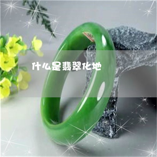 什么是翡翠化地/2023040563815 什么是翡翠化地/2023040563815