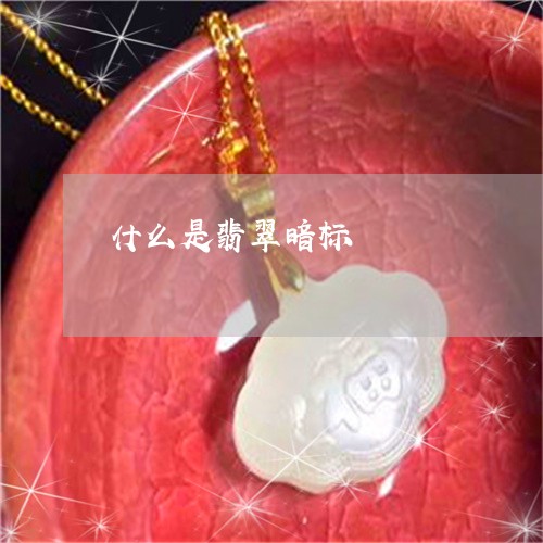什么是翡翠暗标/2023040580513 什么是翡翠暗标/2023040580513