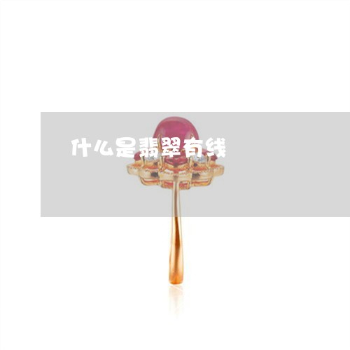 什么是翡翠有线/2023040527240