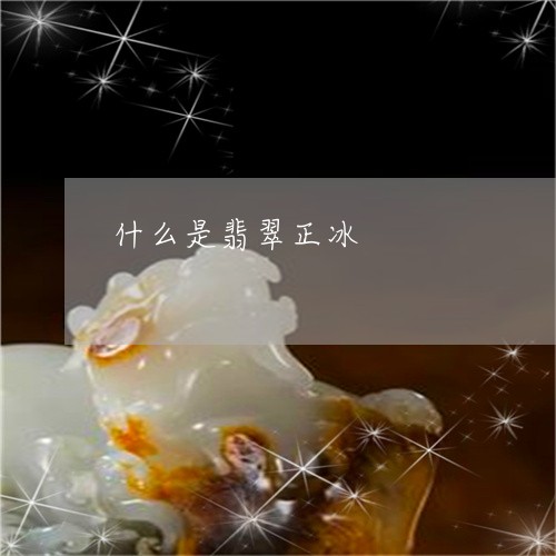 什么是翡翠正冰/2023040564638 什么是翡翠正冰/2023040564638