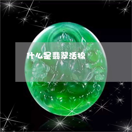 什么是翡翠活棉/2023040523037 什么是翡翠活棉/2023040523037
