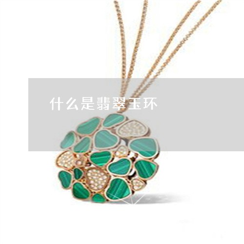 什么是翡翠玉环/2023040503715 什么是翡翠玉环/2023040503715