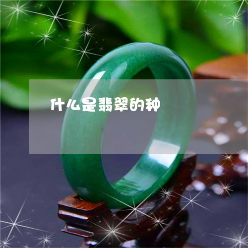 什么是翡翠的种/2023040518369
