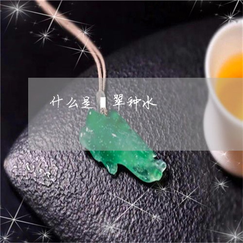 什么是翡翠种水/2023040563704
