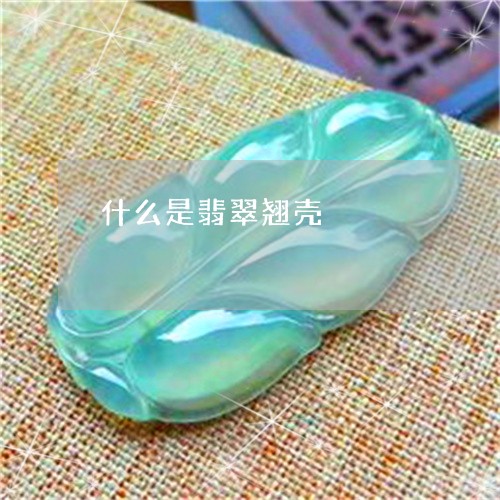 什么是翡翠翘壳/2023040514038