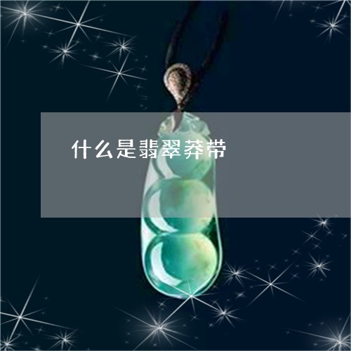 什么是翡翠莽带/2023040501824
