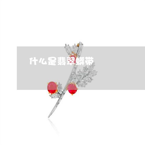 什么是翡翠蟒带/2023040585938