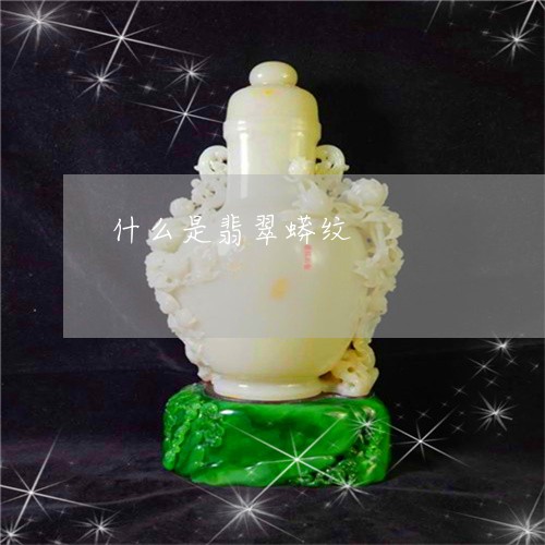 什么是翡翠蟒纹/2023040540283