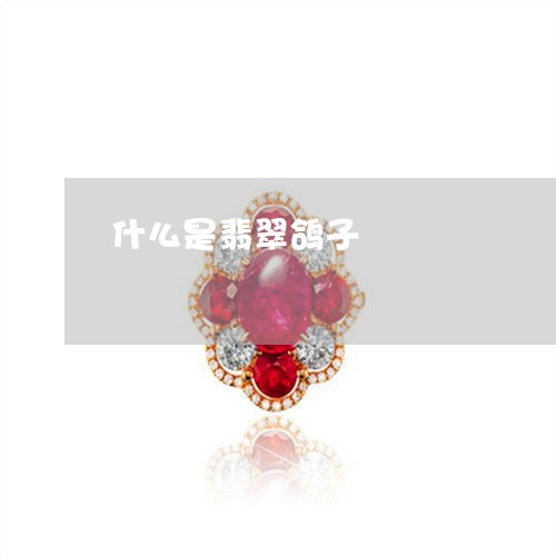 什么是翡翠鸽子/2023040528301 什么是翡翠鸽子/2023040528301