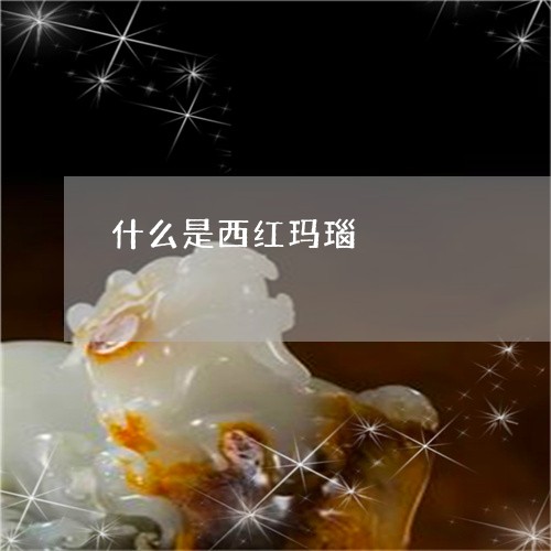 什么是西红玛瑙/2023040518071 什么是西红玛瑙/2023040518071