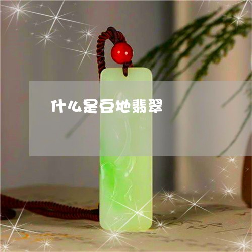 什么是豆地翡翠/2023040585938 什么是豆地翡翠/2023040585938
