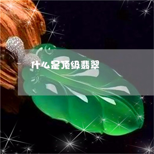 什么是顶级翡翠/2023040590473 什么是顶级翡翠/2023040590473