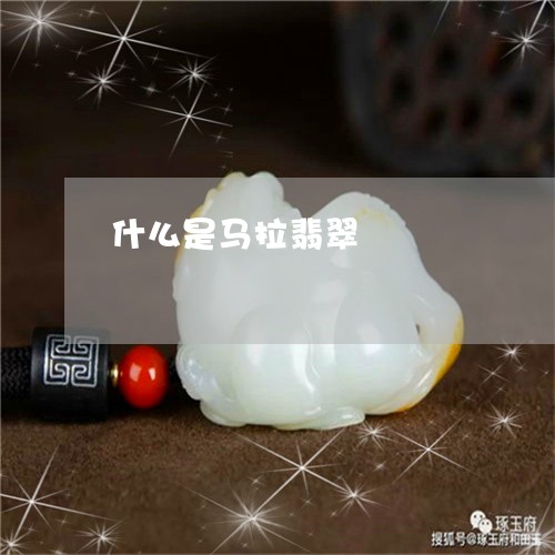 什么是马拉翡翠/2023040541594 什么是马拉翡翠/2023040541594