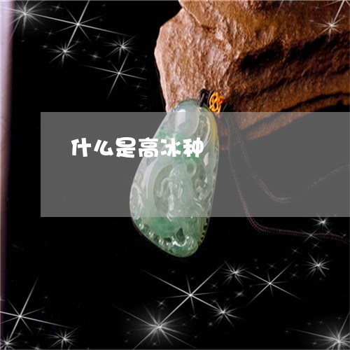 什么是高冰种/2023032047058