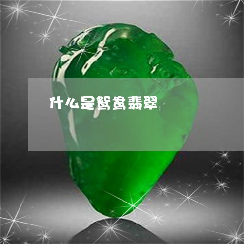 什么是鸳鸯翡翠/2023040582615 什么是鸳鸯翡翠/2023040582615