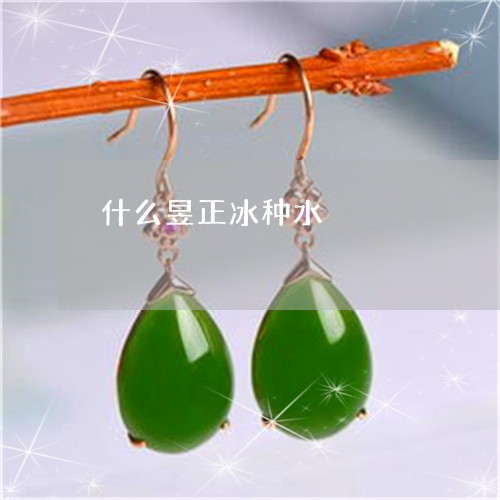 什么昱正冰种水/2023040506846 什么昱正冰种水/2023040506846