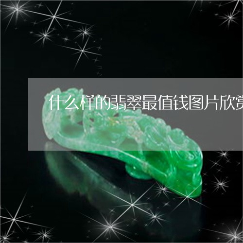 什么样的翡翠最值钱图片欣赏一下/2023071260460