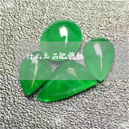 什么玉石配貔貅/2023040573703 什么玉石配貔貅/2023040573703