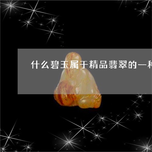 什么碧玉属于精品翡翠的一种/2023071271583